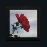 Rote Rosen gegen einen hellen blauen Himmel Geschenkbox<br><div class="desc">Rote Rosen gegen ein blaues Foto von Sandy Closs,  aufgenommen am Arrowhead See. Valentine, " Valentinstag"rote Rose""rote Rosen""rosa Rosen""Hochzeiten""Liebe-Geschenk""Rote Blume""Rote Blume""Rote Blüte" Rote Rose Rose "Geschenke mit Rose"</div>