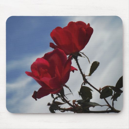 Rote Rosen gegen einen hellen blauen Himmel Mousepad (Vorne)