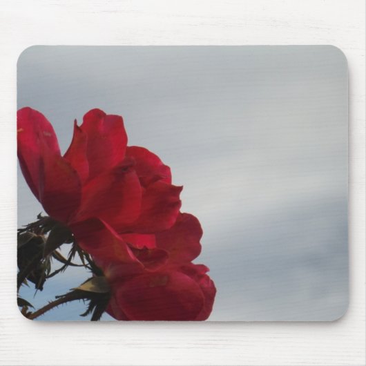 Rote Rosen gegen einen hellen blauen Himmel Mousepad (Vorne)