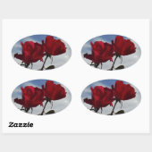 Rote Rosen gegen einen hellen blauen Himmel Ovaler Aufkleber (Blatt)