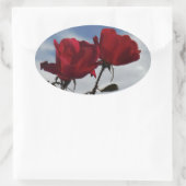 Rote Rosen gegen einen hellen blauen Himmel Ovaler Aufkleber (Tasche)