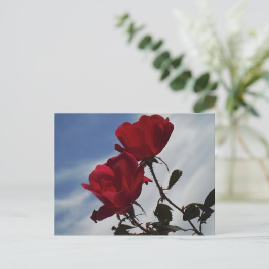 Rote Rosen gegen einen hellen blauen Himmel Postkarte (Stehend Vorderseite)