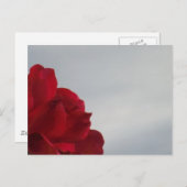 Rote Rosen gegen einen hellen blauen Himmel Postkarte (Vorne/Hinten)