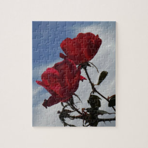 Rote Rosen gegen einen hellen blauen Himmel Puzzle