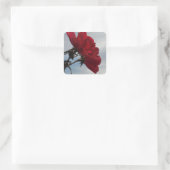 Rote Rosen gegen einen hellen blauen Himmel Quadratischer Aufkleber (Tasche)