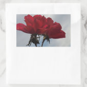 Rote Rosen gegen einen hellen blauen Himmel Rechteckiger Aufkleber (Tasche)