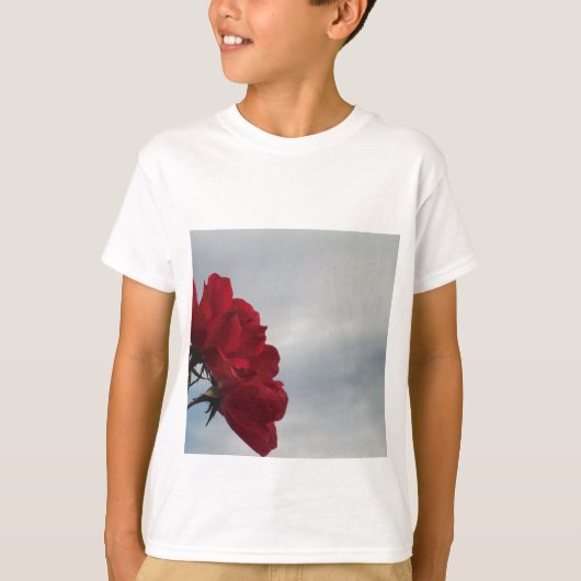 Rote Rosen gegen einen hellen blauen Himmel T-Shirt (Vorderseite)