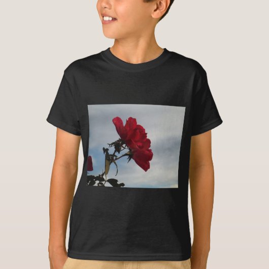Rote Rosen gegen einen hellen blauen Himmel T-Shirt (Vorderseite)