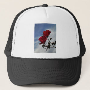 Rote Rosen gegen einen hellen blauen Himmel Truckerkappe