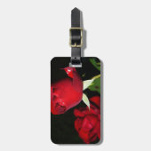 Rote Rosen Gepäckanhänger (Vorderseite vertikal)