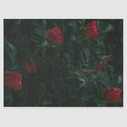 rote Rosen Gewindetappapier-Dekoupage-Geschenkpapi Seidenpapier (Vorderseite)