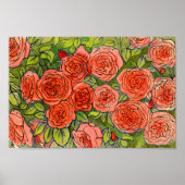 Rote Rosen, Grüne Blätter Rose Garten Sommer Blume Poster (Vorne)