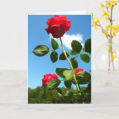 Rote Rosen Grußkarte Karte (Gelbe Blume)