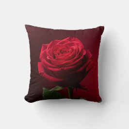 rote Rosen Hintergrund romantisches Design Luxus Kissen