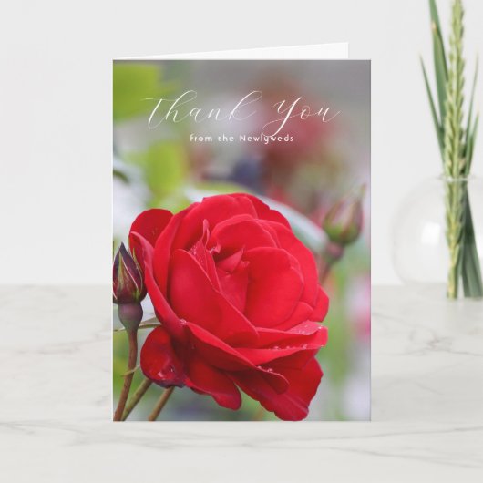 Rote Rosen Hochzeit Danksagung Dankeskarte (Vorderseite)