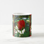 Rote Rosen Kaffeetasse (Mittel)