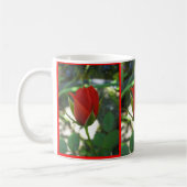 Rote Rosen Kaffeetasse (Links)