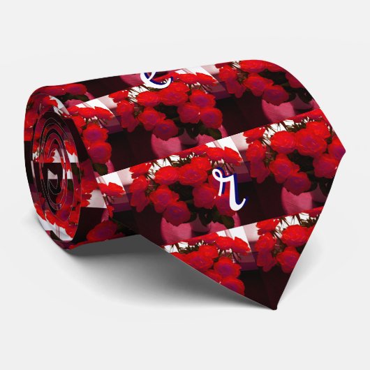 Rote Rosen Krawatte (Gerollt)