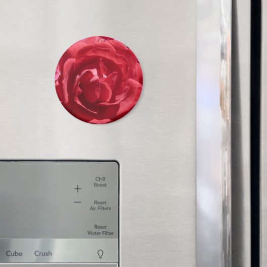 Rote Rosen Magnet (In Situ (Kühlschrank))