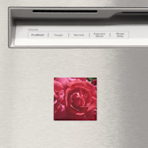 Rote Rosen Magnet
