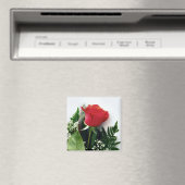 Rote Rosen Magnet (In Situ (Geschirrspüler))