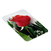 Rote Rosen Magnet (Rechte Seite)