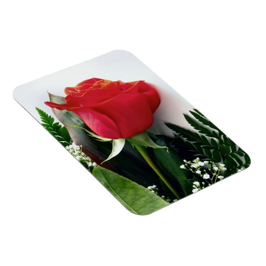 Rote Rosen Magnet (Rechte Seite)