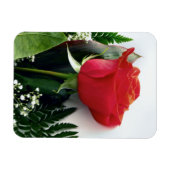 Rote Rosen Magnet (Horizontal)