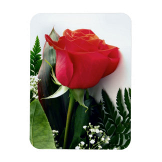 Rote Rosen Magnet