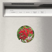 Rote Rosen-Magnet Magnet (In Situ (Geschirrspüler))
