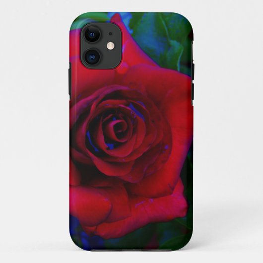 Rote Rosen mit blauen Farbtönen Case-Mate iPhone Hülle (Rückseite)