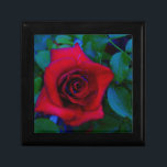 Rote Rosen mit blauen Farbtönen Geschenkbox<br><div class="desc">Rote Rosen mit blauen Farbtönen Rote Rose Lieblicher Hintergrund der rote Rose lesen,  um mit Ihrem Text zu schneiden. Ideal für jeden Liebhaber der Rose. Foto von Sandy Closs,  aufgenommen am Arrowhad-See. "rote Rose""rote Rosen""rosa Rosen""Rosa Rosen""Hochzeiten""Liebe-Geschenk""Rote Blume""Rote Blume""Rote Blüten" Rose "Geschenke mit Rose"</div>