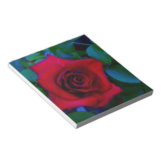 Rote Rosen mit blauen Farbtönen Notizblock (angewinkelt)