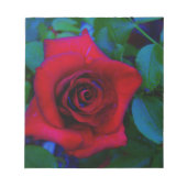 Rote Rosen mit blauen Farbtönen Notizblock (Vorderseite)