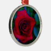 Rote Rosen mit blauen Farbtönen Silbernes Ornament (Rechts)