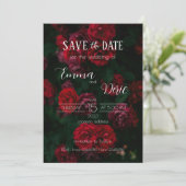 Rote Rosen mit weißen Texten Save the Date Einladung (Stehend Vorderseite)