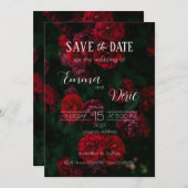 Rote Rosen mit weißen Texten Save the Date Einladung (Vorne/Hinten)