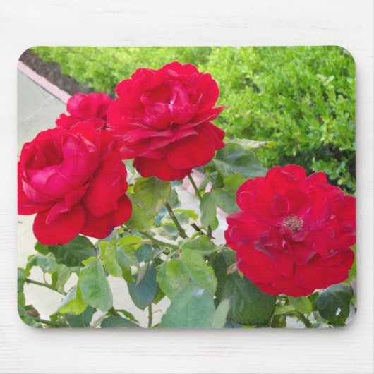 Rote Rosen Mousepad (Vorne)