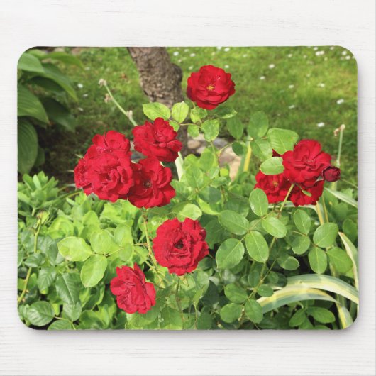 Rote Rosen Mousepad (Vorne)