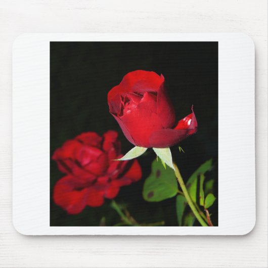 Rote Rosen Mousepad (Vorne)