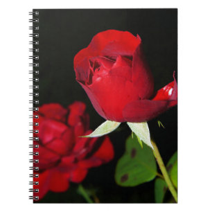 Rote Rosen Notizblock