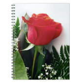 Rote Rosen Notizblock (Vorderseite)