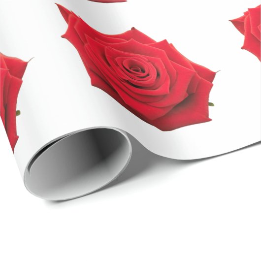 Rote Rosen Packpapier (Rolleneckpunkt)