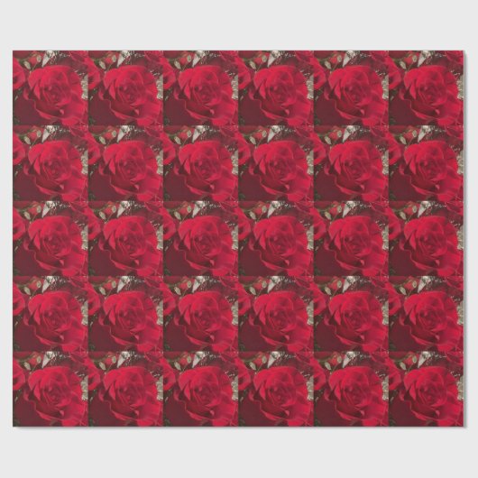 Rote Rosen Packpapier (Flach)