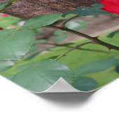 Rote Rosen Personalisierten Text hinzufügen Poster (Ecke)