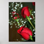 Rote Rosen Poster (Vorne)