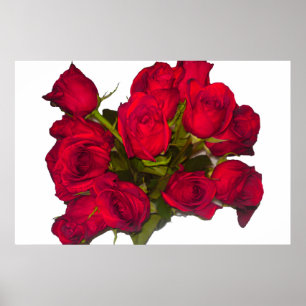 Rote Rosen Poster