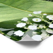 Rote Rosen Poster (Ecke)