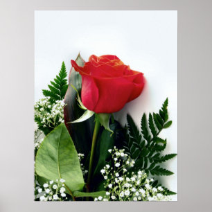 Rote Rosen Poster