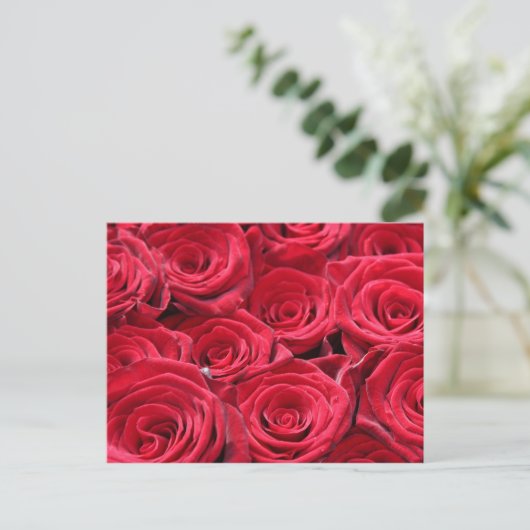 Rote Rosen Postkarte (Stehend Vorderseite)